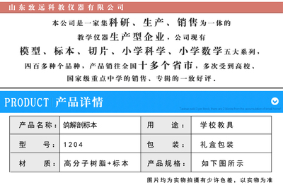 鴿解剖標(biāo)本與包埋標(biāo)本在中學(xué)生物教學(xué)中的應(yīng)用與選購(gòu)指南